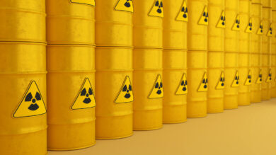 Foto: Oselote via Getty Images