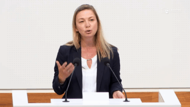 "Niedersachsen braucht mehr Gründungsdynamik – besonders auch außerhalb der großen Städte", sagt Cindy Lutz. | Foto: Plenar-TV/Screenshot: Link