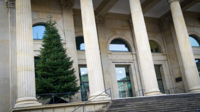 Heilig Abend rückt näher: Auch vor dem Landtag steht schon längst ein Weihnachtsbaum. | Foto: Link
