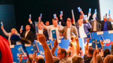 Delegierte stimmen mit Ja bei einem Parteitag der AfD in Celle. | Foto: Link
