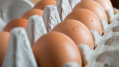 Foto: Adam Jeffers via Getty Images