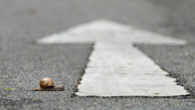 Foto: GettyImages/Stefan Rotter