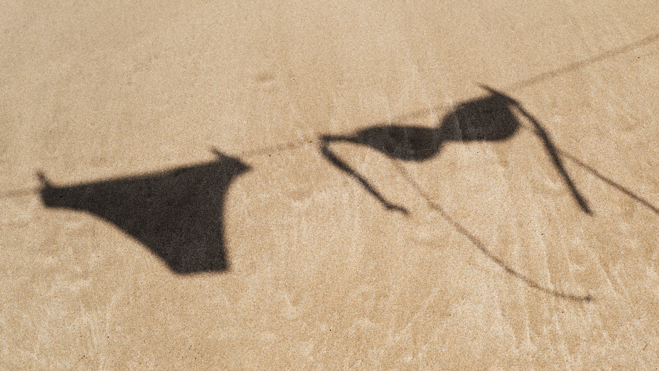 the shadow of the two pieces of a bikini hanging on a clothes line on the sand of a beach