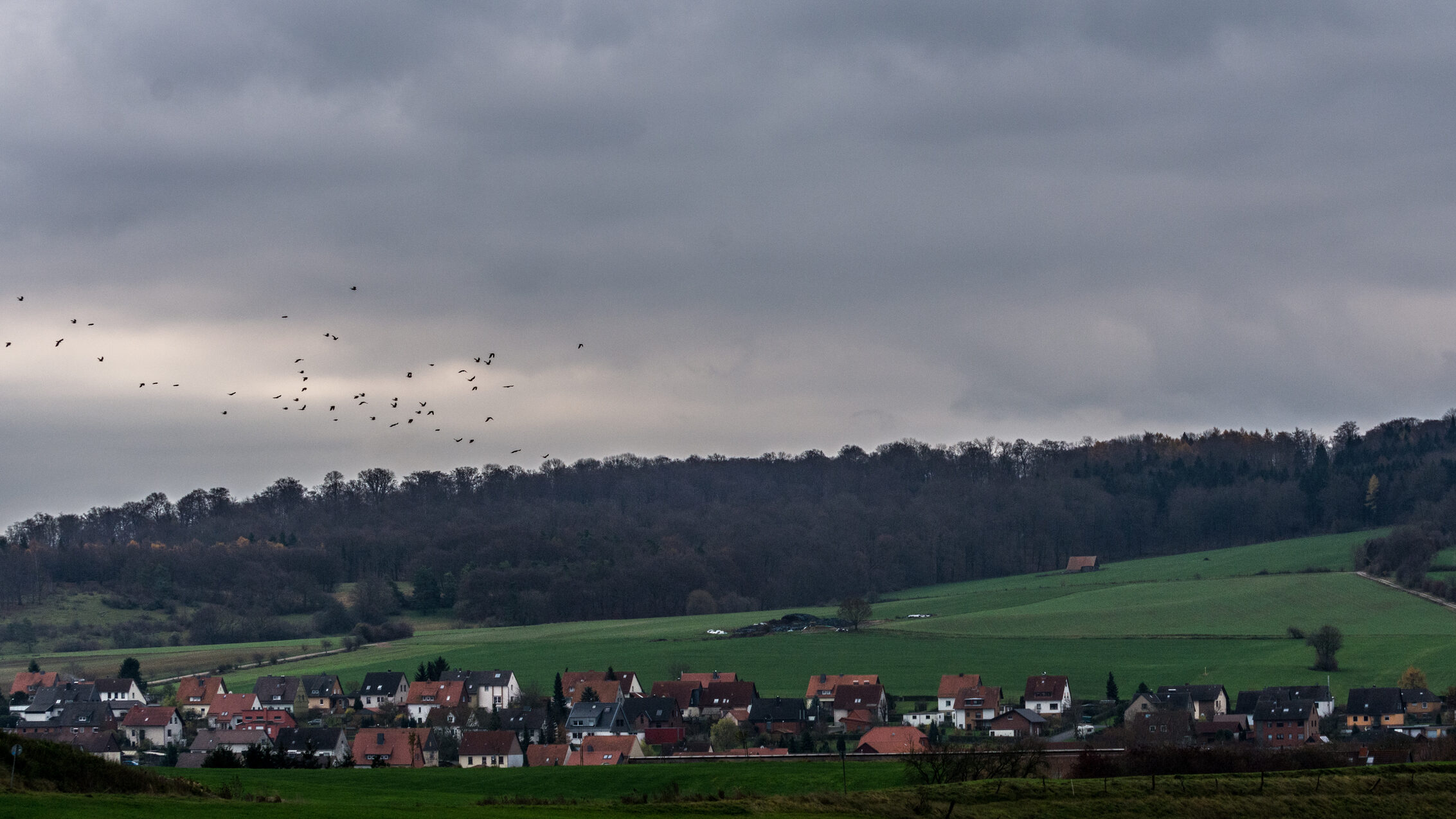 Landschaftsansicht eines Dorfes mit einem Vogelschwarm am Himmel