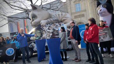 Tierschützer fordern vorm Landtag eine landesweite Katzenschutzverordnung. | Foto: Kleinwächter