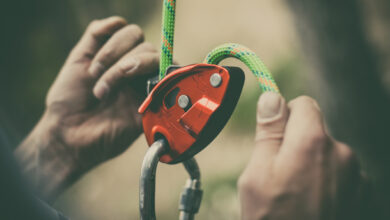 Foto: iStock / Getty Images Plus
