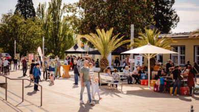 In Bad Nenndorf beginnt in dieser Woche die Landesgartenschau. | Foto: Marie-Christin Pratsch