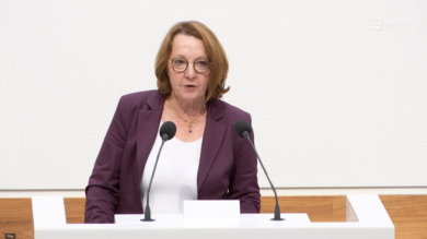 Foto: Screenshot/Plenar-TV
