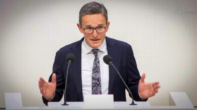 Wilhelm Mestwerdt | Foto: Plenar-TV/Screenshot