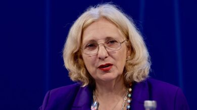 Daniela de Ridder spricht bei einer Veranstaltung im Oktober 2024 in Dublin. | Foto: Houses of the Oireachtas/cc-by-2.0