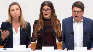 Streiten über Ausgründungen aus Hochschulen (von links): Cindy Lutz, Pippa Schneider und Jan Henner Putzier. | Foto: Plenar-TV/Screenshot: Link