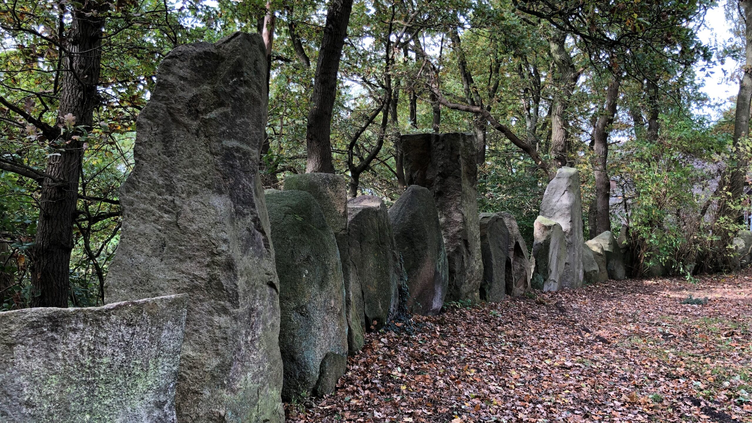 Eine Waldlichtung, umgeben von Steinen