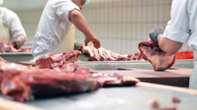 Foto: GettyImages/industryview