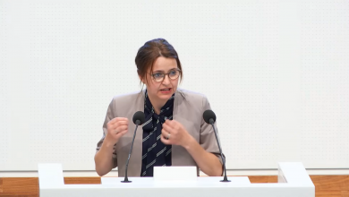 Tanja Meyer (Grüne) plädiert für eine Reform der Notfallversorgung. | Screenshot/Plentar-TV