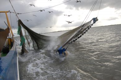 Staudte sorgt sich um Küstenfischer: Das Verbot der Grundschleppnetze soll warten