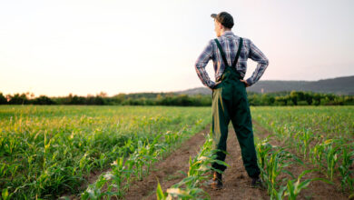 Landwirte fordern: Raus aus der EU-Agrarpolitik! Ministerium winkt ab