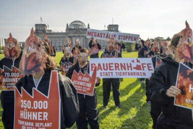 Borchert gescheitert, Demo in Brandenburg: Langes Warten auf mehr Tierschutz