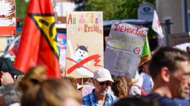 Kommentar zur #noAfD-Demo in Celle: Der bequeme Protest