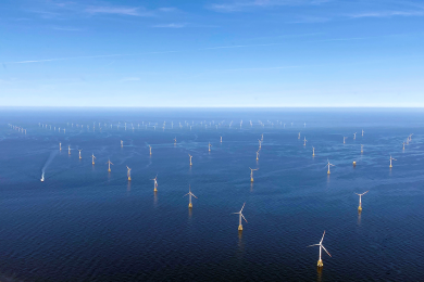 Warum Windkraftwerke in der Nordsee ein Problem für das Wattenmeer werden könnten