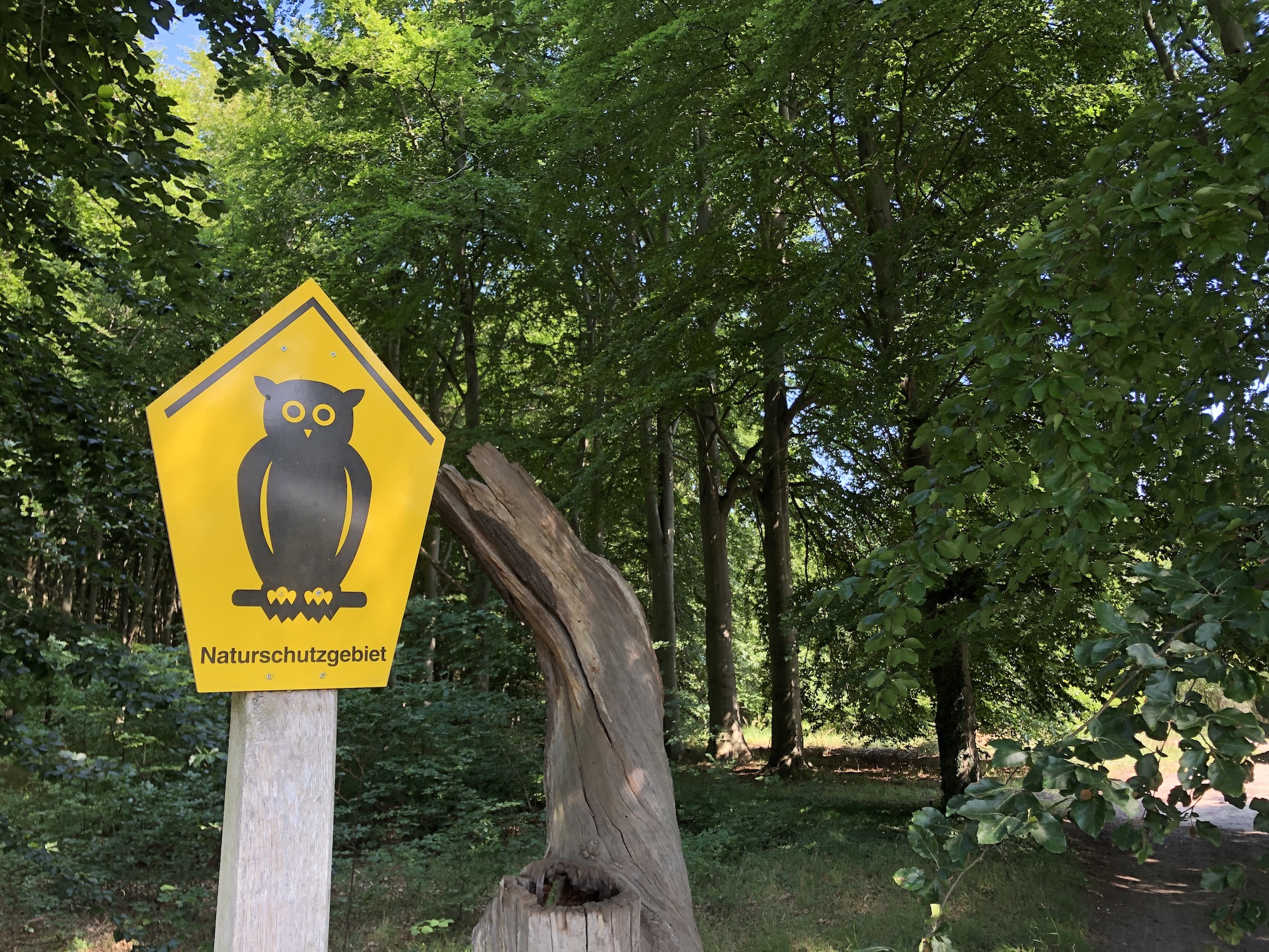 Lies Sichert die FFHGebiete bis Juli, sonst machen wir das