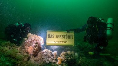 Greenpeace kämpft gegen Gasbohrung vor Borkum und legt Umwelt-Studie vor