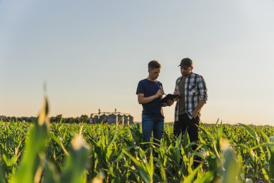 Bundesregierung: Niedersachsens Landwirte konnten bundesweit Spitzen-Gewinne erzielen