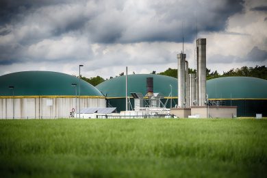 Niedersachsens Biogasbranche möchte gern russisches Erdgas ersetzen – darf aber nicht