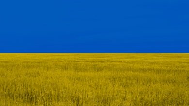 Ukrainische Getreidelieferungen bringen EU-Bauern in Wallung