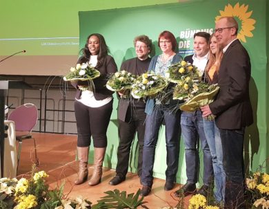 Mandatsträgerbeiträge: Grüne Abgeordnete überweisen der Partei 200.000 Euro