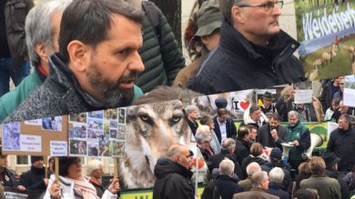 Wolfsgegner demonstrieren vor dem Landtag