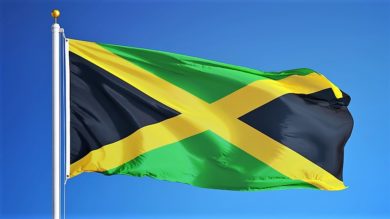 Wie deutlich ist das Jamaika-Nein der Grünen?