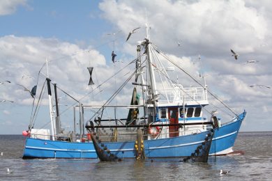 Bund unterstützt in Not geratene Küstenfischer mit 11,5 Millionen Euro