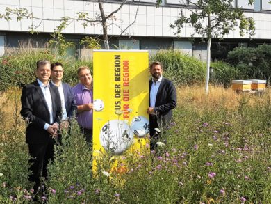 Lotto Niedersachsen: Bingo-Einnahmen für Umweltprojekte weitgehend stabil