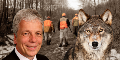 CDU: Umweltminister gefährdet Sicherheit der Jäger, die Problemwölfe jagen