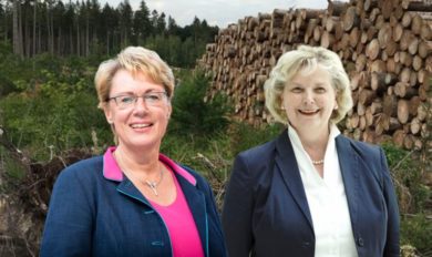 Nach dem Waldgipfel: SPD fordert Landes-Gelder für Wiederaufforstung
