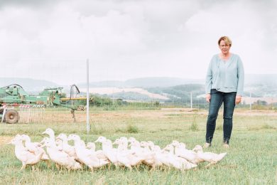Agrarministerin Otte-Kinast in Sorge: Immer weniger Nutztiere in Niedersachsen
