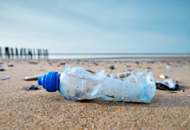 Plastikmüll: Industrie lehnt „Zwangsfonds“-Vorschlag der Grünen ab