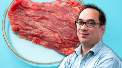 Prof. Lin-Hi: „Fleisch aus dem Reagenzglas wird kommen, wir sollten dazu forschen“