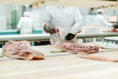 Althusmann: Werkvertrags-Verbot in der Fleischbranche schwer umsetzbar