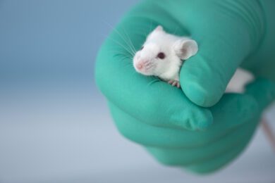 Sollte sich künftig besser das Wissenschaftsressort um Tierversuche kümmern?