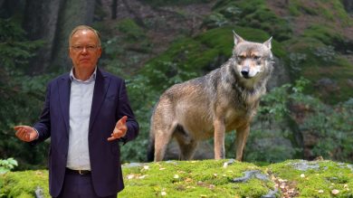 Stephan Weil will mit Uelzens Landrat nicht über den Wolf sprechen
