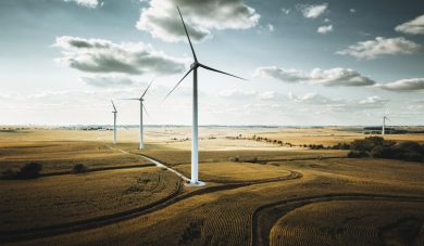 Grüne: Niedersachsen muss mehr Windkraft anbieten – und dafür auch entlohnt werden