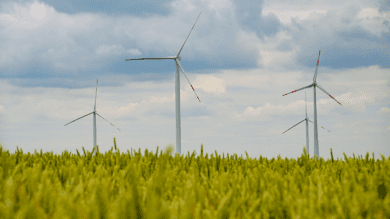 Kommunen warnen: Windräder dürfen den Landschaftsschutz nicht zerstören