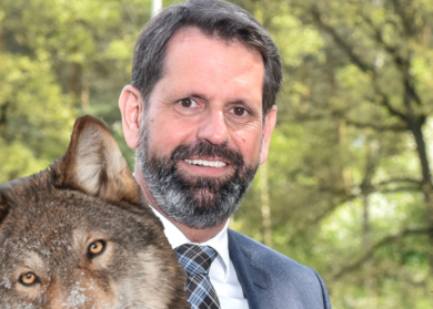 Kein DNA-Nachweis für Wolfsattacke im Kreis Rotenburg